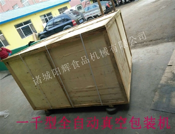 黑龍江全自動真空包裝機(jī)